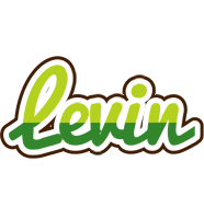 Levin golfing logo