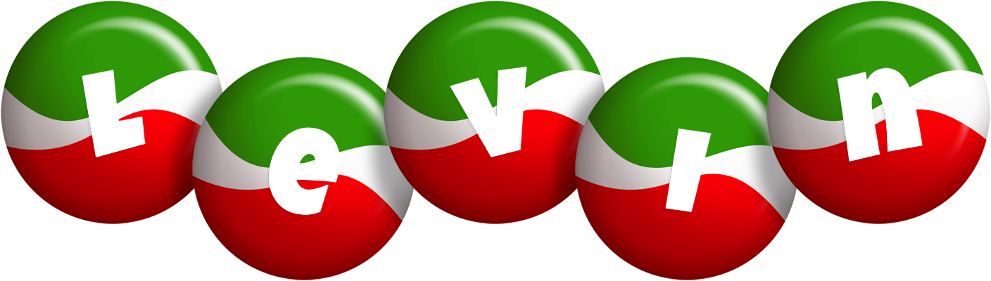 Levin italy logo