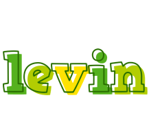 Levin juice logo