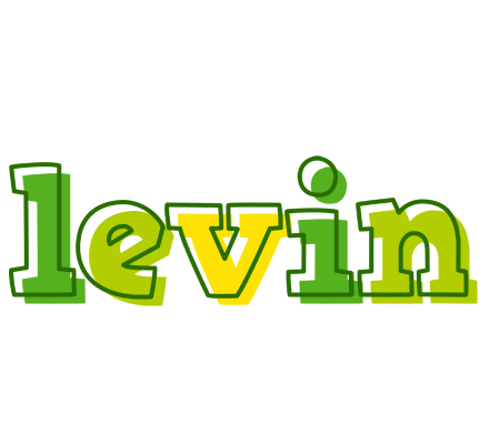 Levin juice logo