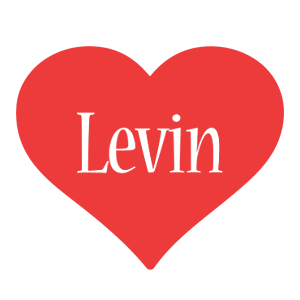 Levin love logo