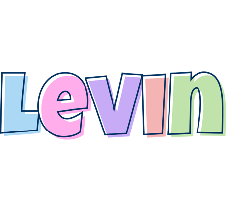 Levin pastel logo