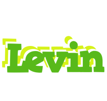 Levin picnic logo