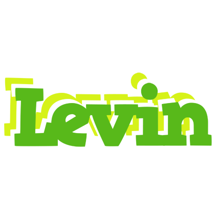 Levin picnic logo