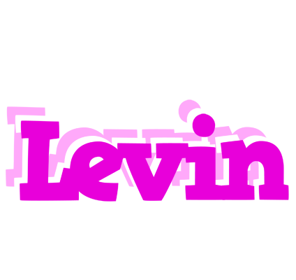 Levin rumba logo