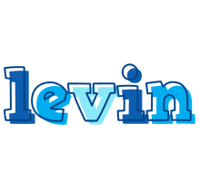 Levin sailor logo