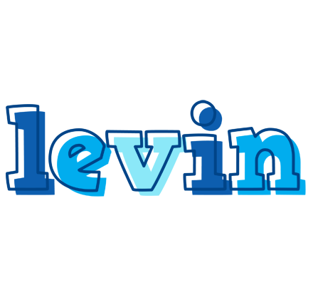Levin sailor logo