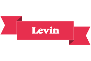 Levin sale logo