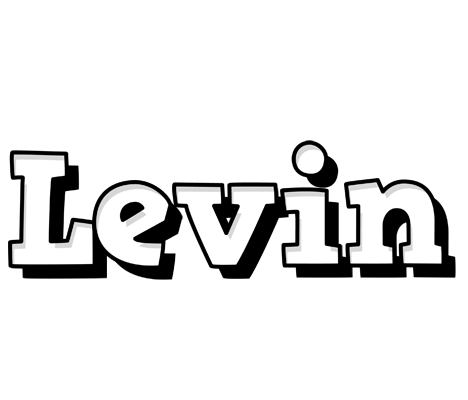 Levin snowing logo