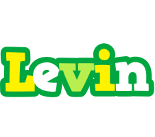 Levin soccer logo