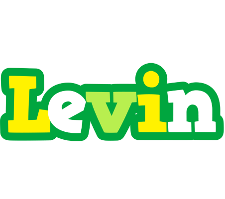 Levin soccer logo