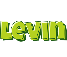 Levin summer logo