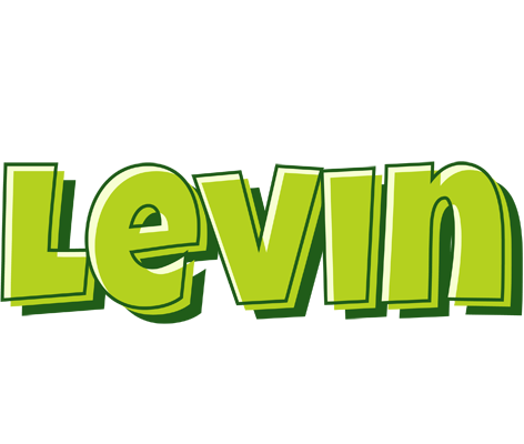 Levin summer logo