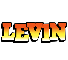 Levin sunset logo