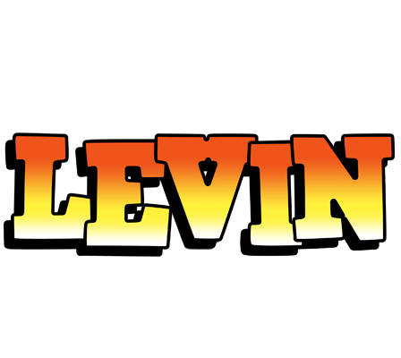 Levin sunset logo