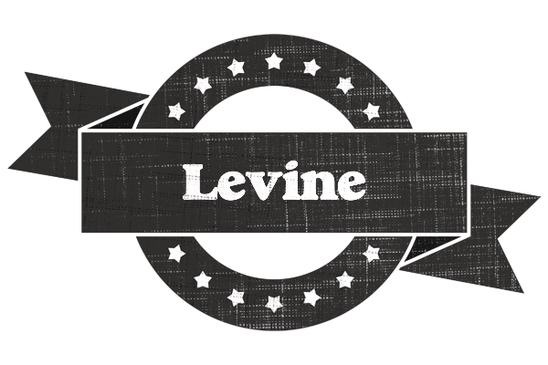 Levine grunge logo