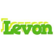 Levon picnic logo