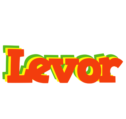 Levor bbq logo