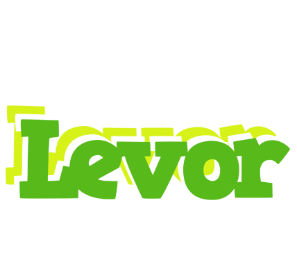 Levor picnic logo