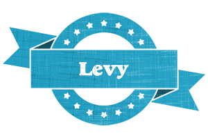 Levy balance logo