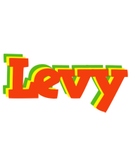 Levy bbq logo