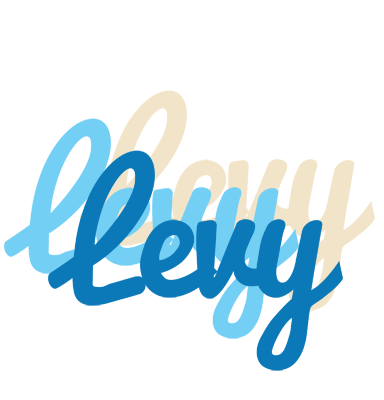 Levy breeze logo