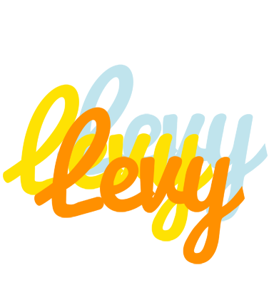 Levy energy logo
