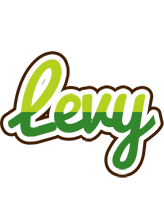 Levy golfing logo