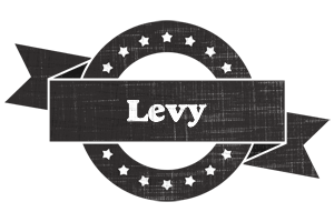 Levy grunge logo