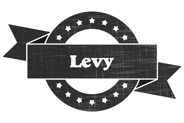 Levy grunge logo