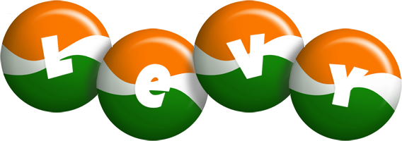 Levy india logo