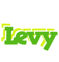 Levy picnic logo