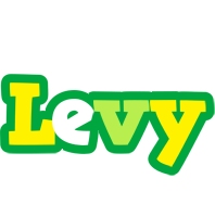 Levy soccer logo