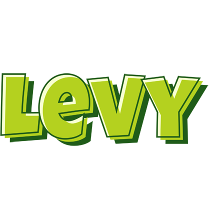 Levy summer logo