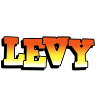 Levy sunset logo