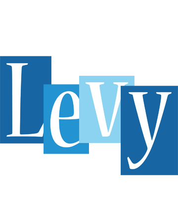 Levy winter logo