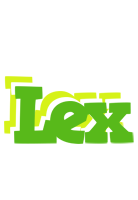 Lex picnic logo