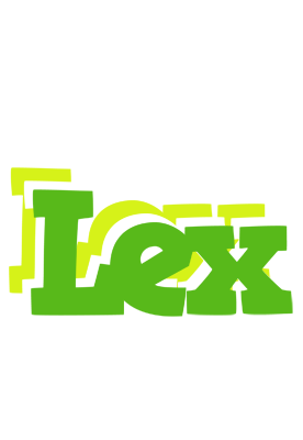 Lex picnic logo