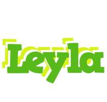 Leyla picnic logo