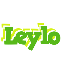 Leylo picnic logo