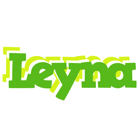 Leyna picnic logo