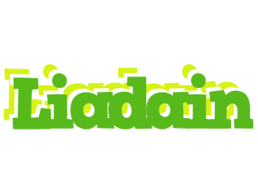 Liadain picnic logo