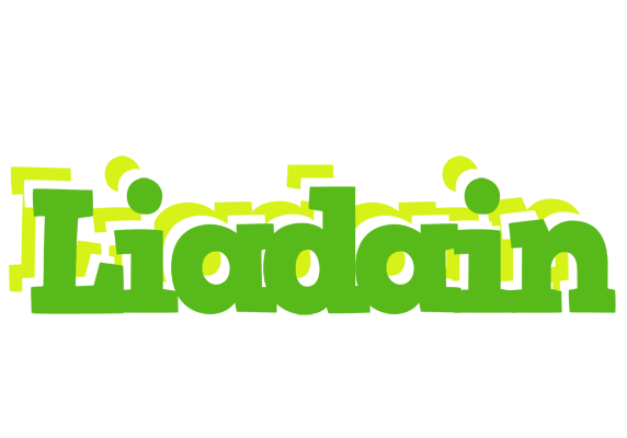 Liadain picnic logo