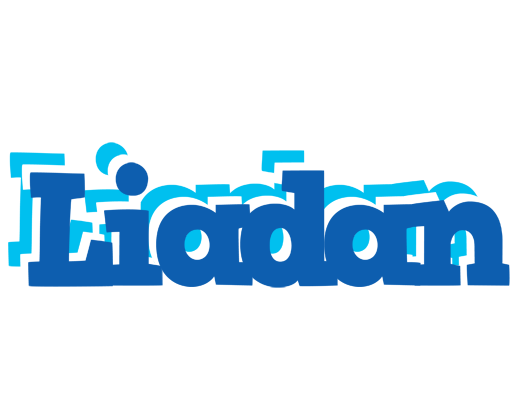 Liadan business logo