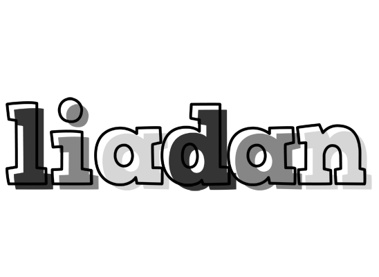 Liadan night logo