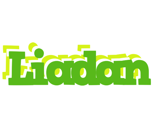 Liadan picnic logo