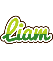 Liam golfing logo