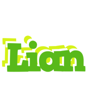 Lian picnic logo