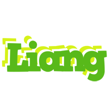 Liang picnic logo