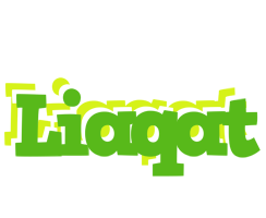 Liaqat picnic logo
